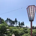 箭弓稲荷神社の写真_314585