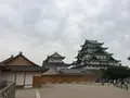名古屋城の写真_315225