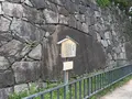 名古屋城の写真_315231