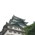 名古屋城の写真_315232