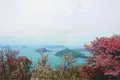紫雲出山の写真_315385
