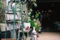 SOWGENの写真_315492