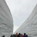 雪の大谷の写真_315782