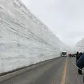 雪の大谷の写真_315783