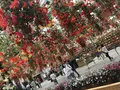 なばなの里の写真_316017