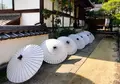 龍蓋寺（岡寺）の写真_316049