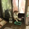 霊巌洞の写真_317099