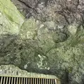 霊巌洞の写真_317100