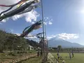 山中湖花の都公園の写真_317149
