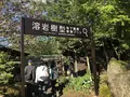 山中湖花の都公園の写真_317154
