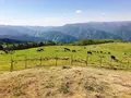 四国カルストの写真_317330