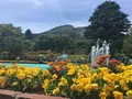 箱根強羅公園の写真_317615