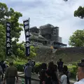 熊本城の写真_317979
