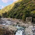 【廃駅】旧・国鉄 武田尾駅跡の写真_318171
