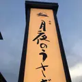 お宿 月夜のうさぎの写真_318245