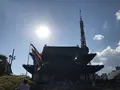 増上寺の写真_318283