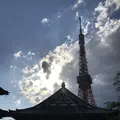 増上寺の写真_318284