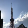 増上寺の写真_318285