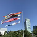 増上寺の写真_318288