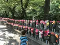 増上寺の写真_318290