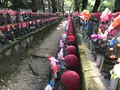 増上寺の写真_318291