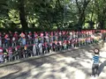 増上寺の写真_318295
