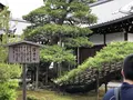 金閣寺（鹿苑寺）の写真_318307