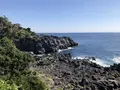 伊豆稲取産金目鯛と源泉かけ流しの宿。旅館はまべ荘の写真_318334