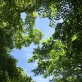 万博記念公園の写真_318517