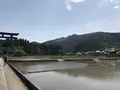 熊野古道大門坂の写真_318519