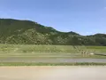 熊野古道大門坂の写真_318521