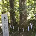 熊野古道大門坂の写真_318531