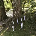 熊野古道大門坂の写真_318534