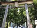 熊野古道大門坂の写真_318537