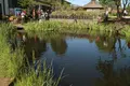 忍野八海の写真_318543