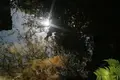 忍野八海の写真_318544
