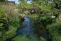 忍野八海の写真_318553