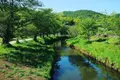 忍野八海の写真_318555