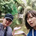 濃溝の滝の写真_318663