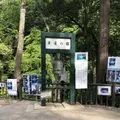 濃溝の滝の写真_318665