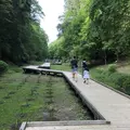 濃溝の滝の写真_318666