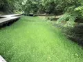 濃溝の滝の写真_318669