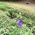 濃溝の滝の写真_318670