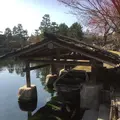 徳川園の写真_318704