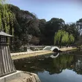 徳川園の写真_318707