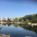 徳川園の写真_318709