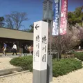 徳川園の写真_318719
