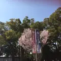 徳川園の写真_318720