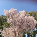 徳川園の写真_318723