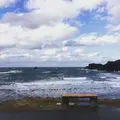 越前松島水族館の写真_318754